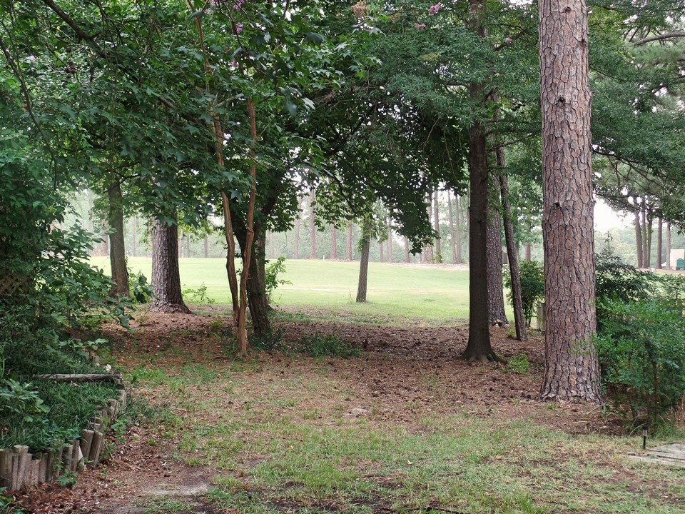 view to course from deck