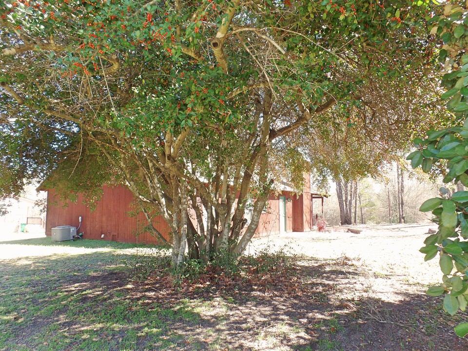side and back of home