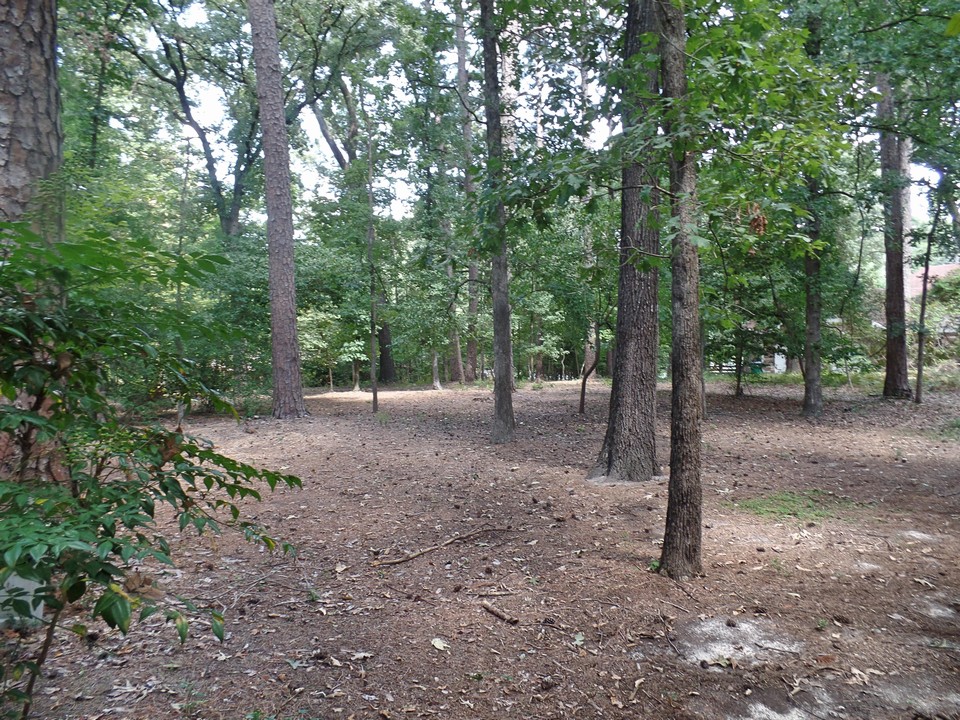 yard