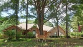 property listing