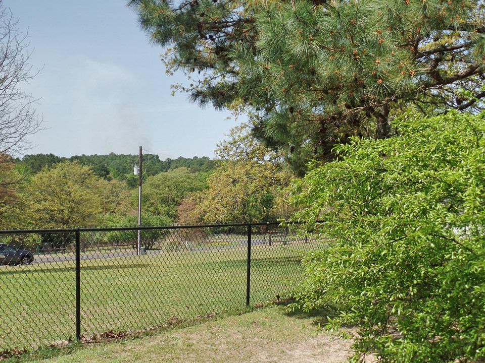 back and side yard