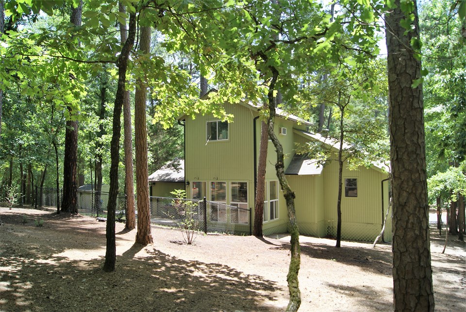 rear of home