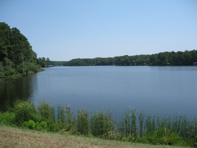 just a short walk to lake greenbriar.