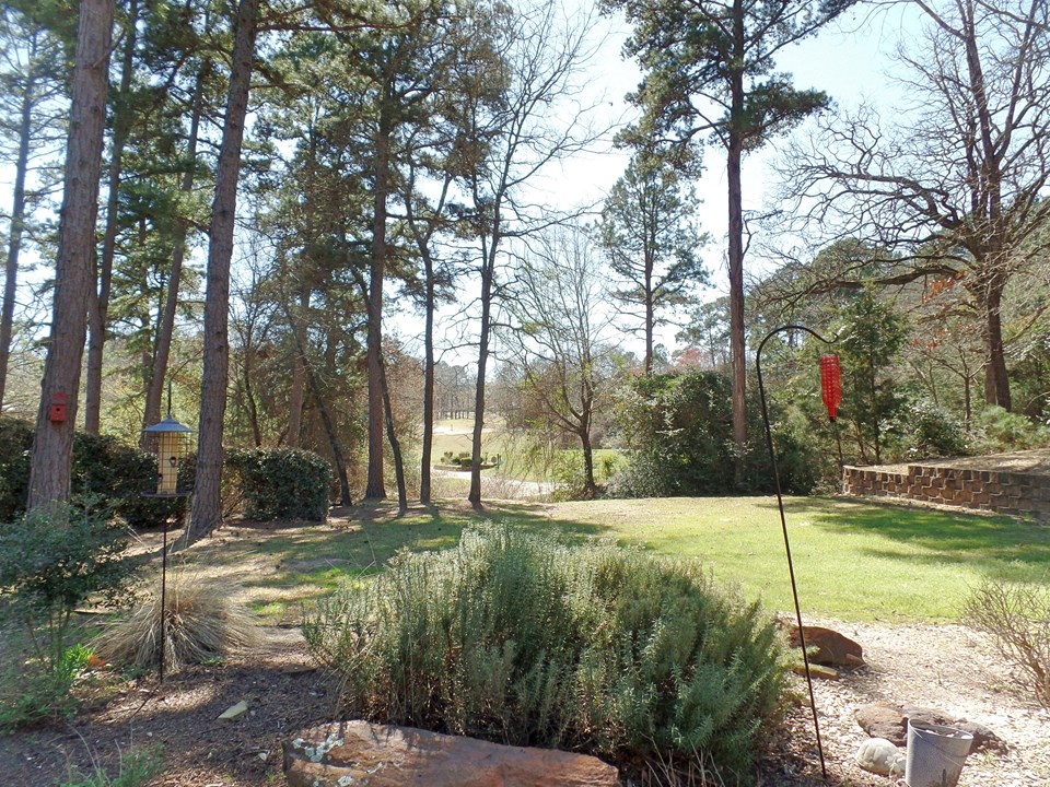 lovely wooded backyard with view to #5 tee