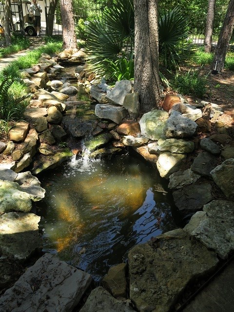 waterfall with stocked fish at the property entrance