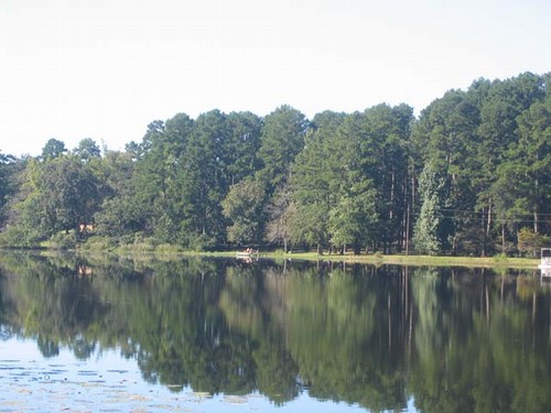 view of the property from across the lake