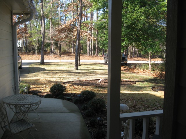 view from the front porch to the front - note the treed lot on the opposite lot.